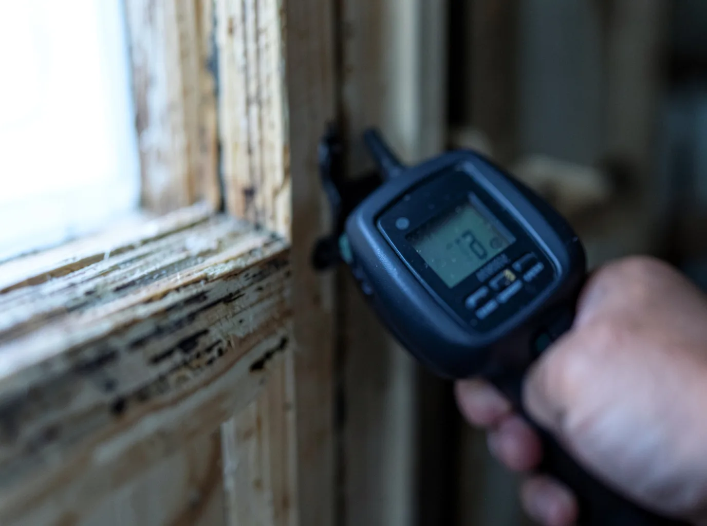 Moisture Inspection And Documentation in Mount Morris, MI